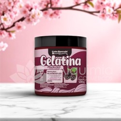 Gelati Fixação Forte 500g