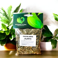 Cavalinha 50gr