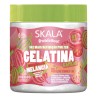 Gelatina Melancia 550g