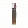 Cabelo D Monica T1B/27
