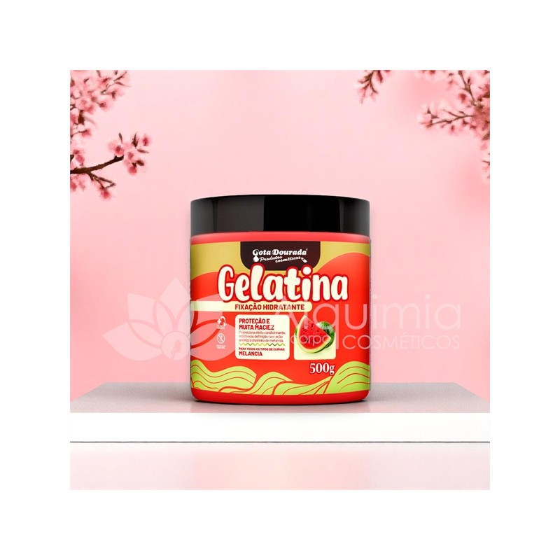 Gelatina Hidra Melan 500g