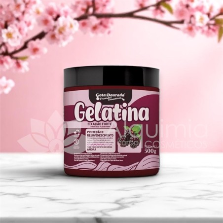 Gelati Fixação Forte 500g