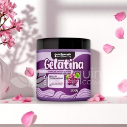 Gelati Antioxidante  500g