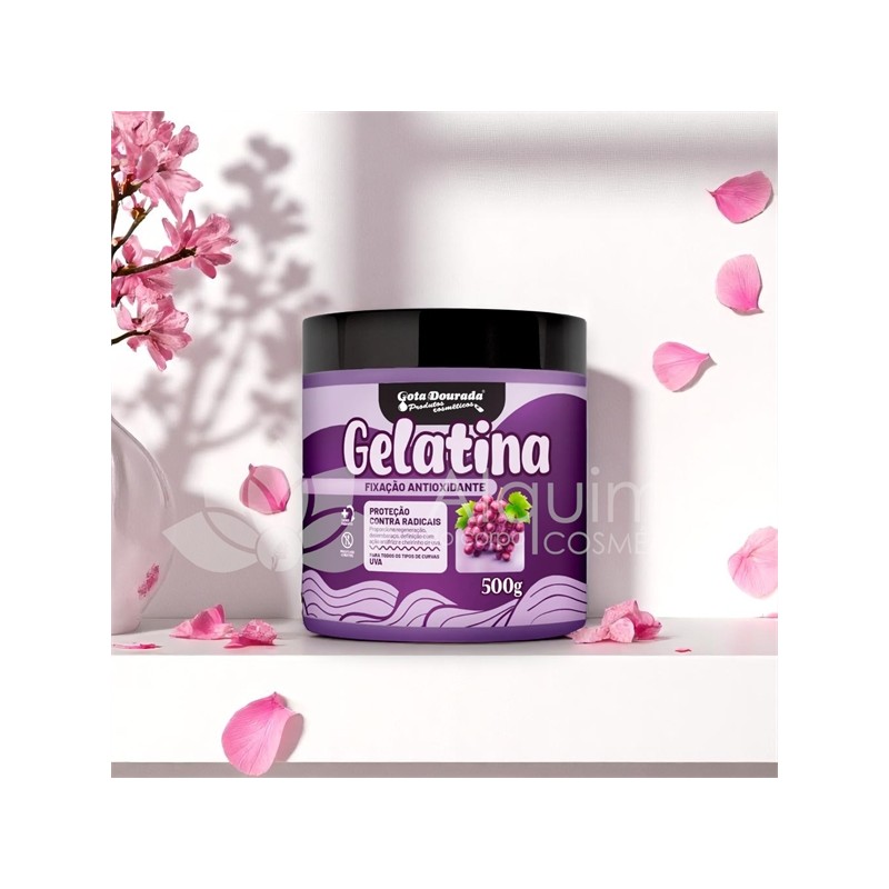 Gelati Antioxidante  500g