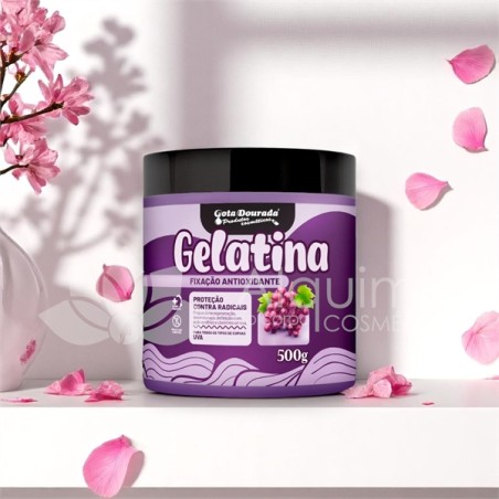 Gelati Antioxidante  500g