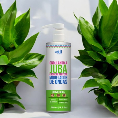 CPP Juba 2C 500ml WidiCar
