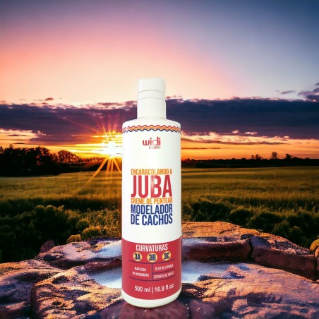 CPP Juba 3C 500ml WidiCar