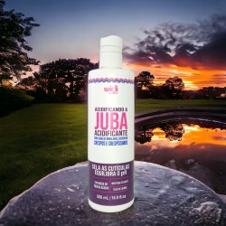 Acidificante Juba 500ml