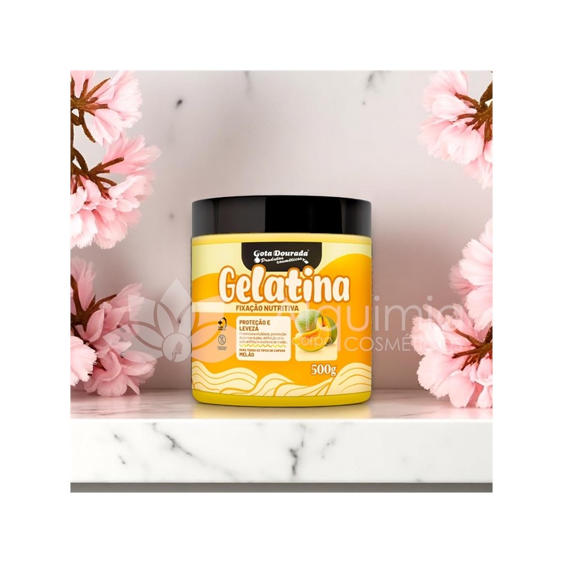 Gelatina Nutri Melão 500g