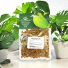 Visco Album Planta 50gr