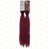 Cabelo D. Monica Cor 39