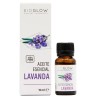 Óleo de Lavanda 10ml