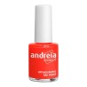 Verniz 101 Andreia 10.5ml